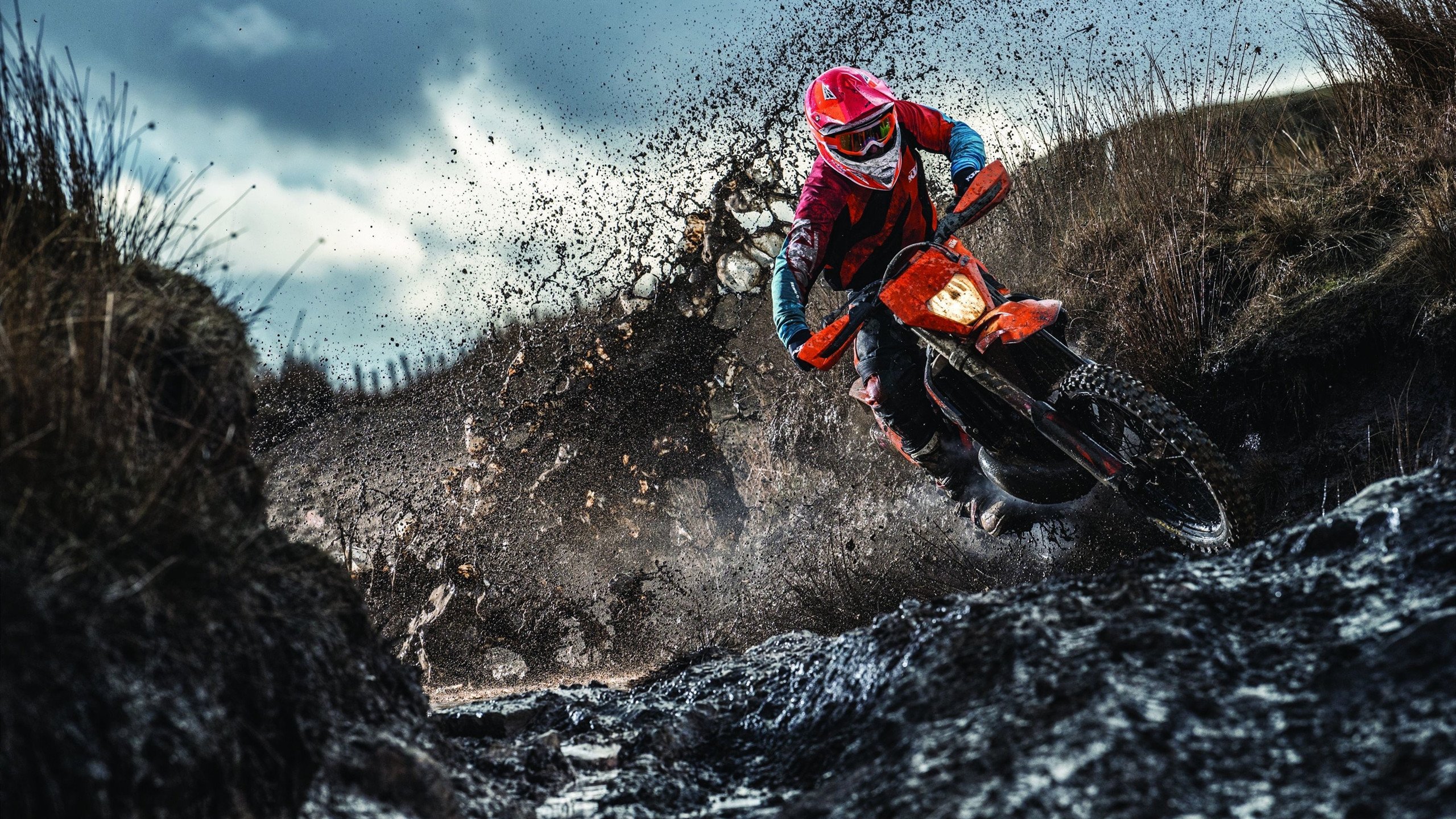 世界青少年综合体育节 篮球、游泳与田径同场联动